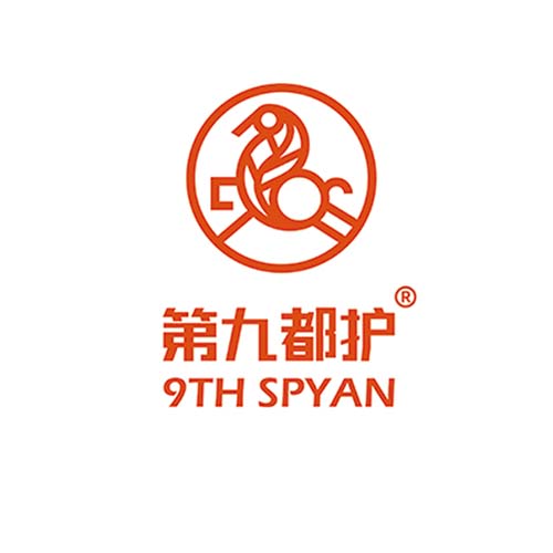 第九都護